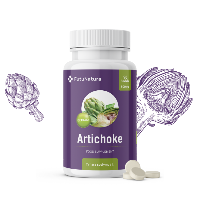 Artischocke - Entgiftung