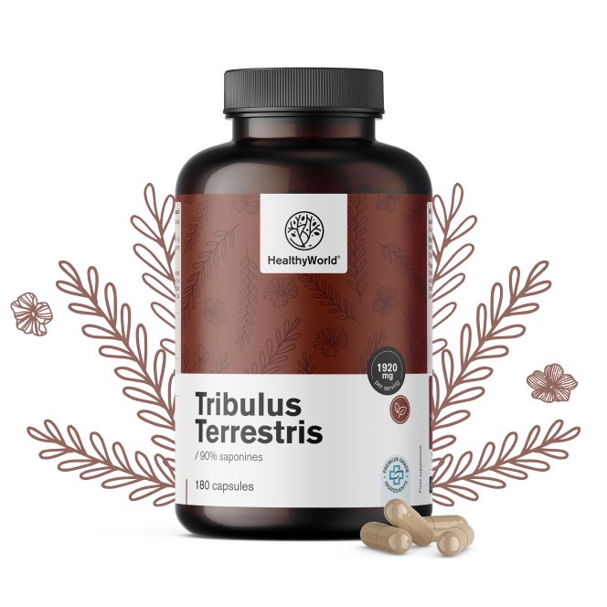 Erd Burzeldorn – Tribulus 1920 mg