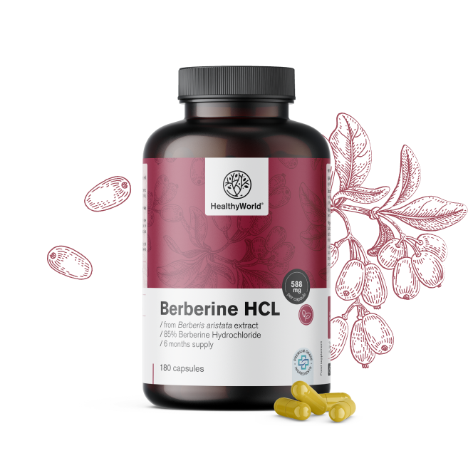 Berberin HCL 500 mg