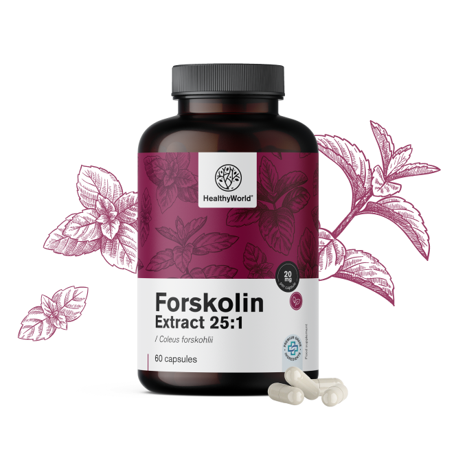 Forskolin – Extrakt aus Indischer Buntnessel 20 mg