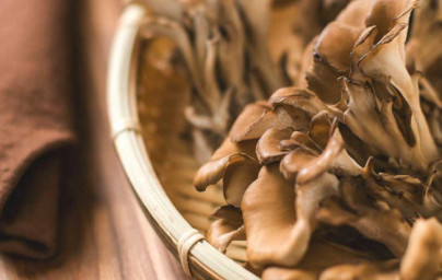 Maitake Maitake