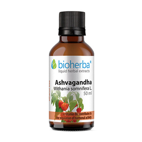Tinktur aus Ashwagandha 