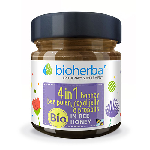 BIO Komplex mit Honig - ApiMix, 280 g