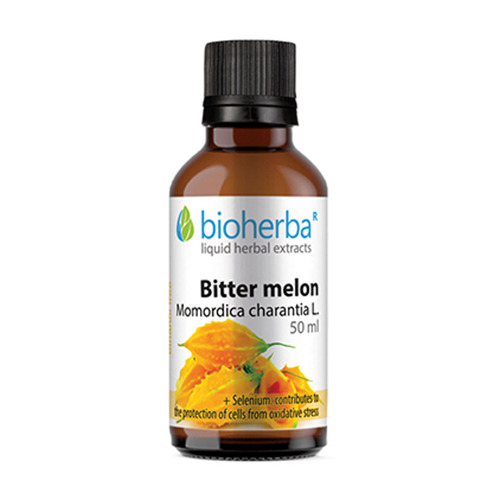 Bittermelone - Tinktur, 50 ml