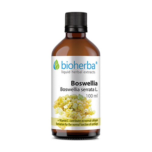 Boswellia - Tinktur, 100 ml