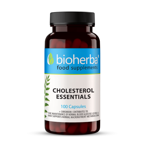  Cholesterol essentials - für Leber, 100 Kapseln