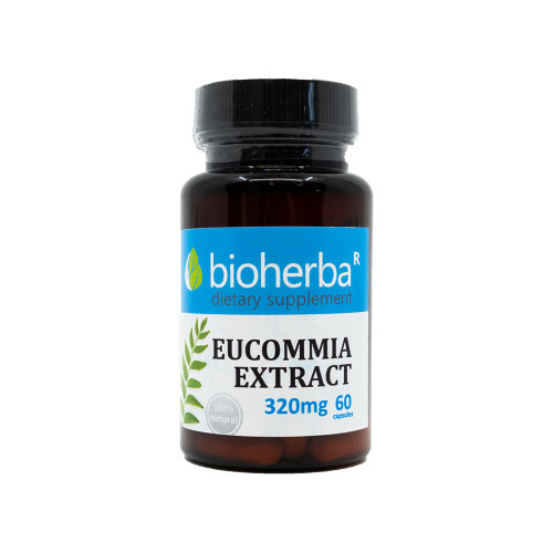 Eucommia Extrakt 320 mg, 60 Kapseln