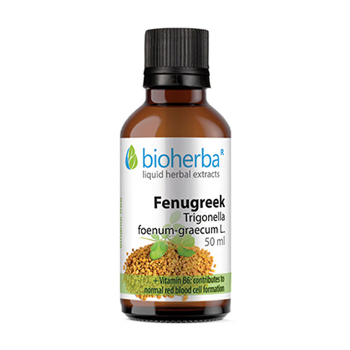 Bockshornklee - Tinktur, 50 ml