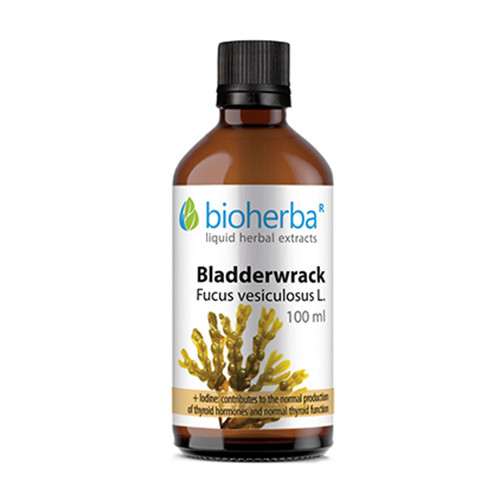 Blasentang – Tinktur, 100 ml