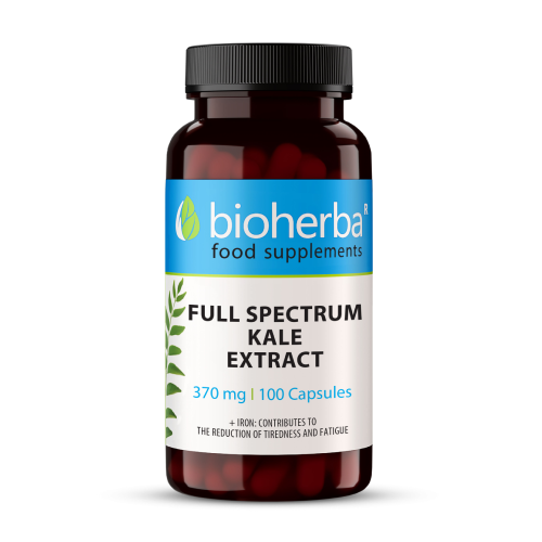 Grünkohl (Kale) 370 mg, 100 Kapseln
