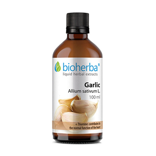 Knoblauch - Tinktur, 100 ml