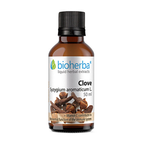 Gewürznelken - Tinktur, 50 ml
