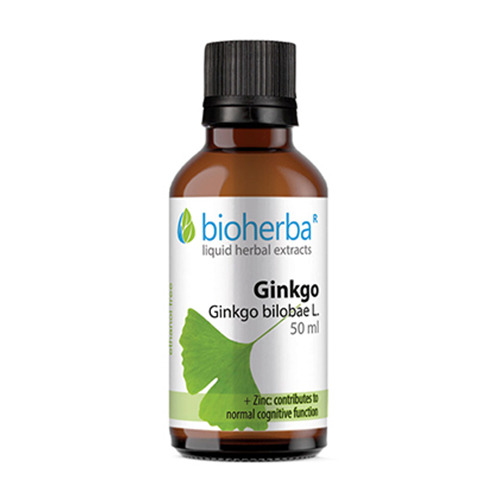 Ginkgo biloba – Tinktur, 50 ml