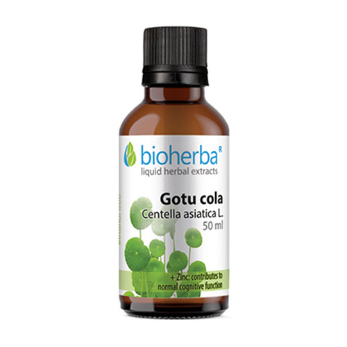 Gotu Kola - Tinktur, 50 ml