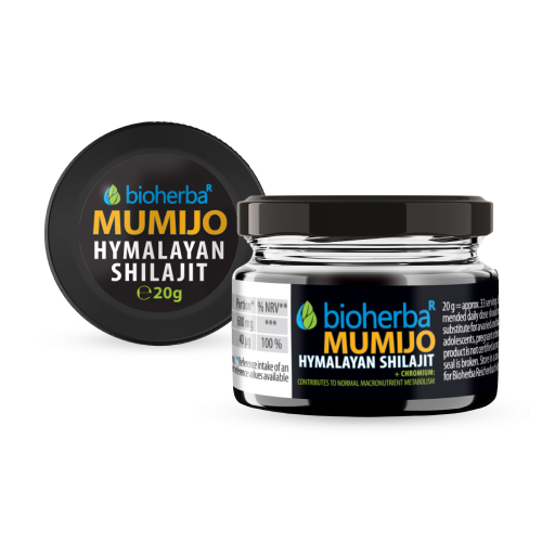 Shilajit (Mumijo) Harz, 20 g