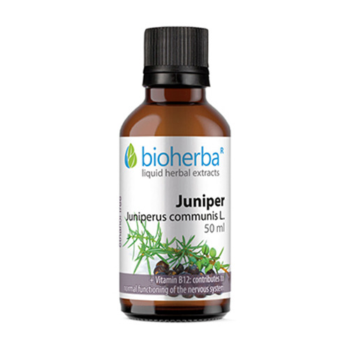 Wacholder - Tinktur, 50 ml