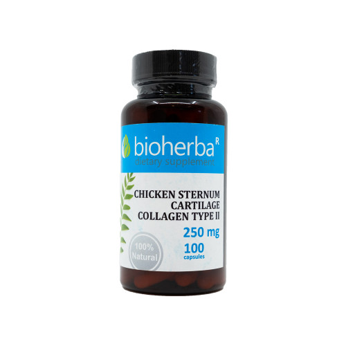 Kollagen Typ II 250 mg, 100 Kapseln