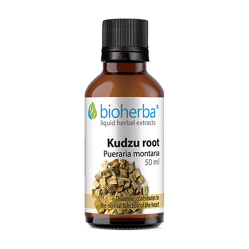 Kudzu-Wurzel (japanische Maranta) - Tinktur, 50 ml