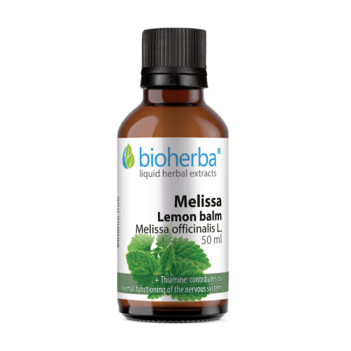 Melisse - Tinktur, 50 ml
