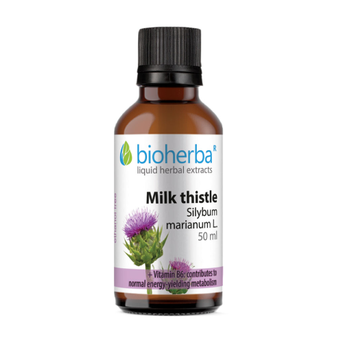 Mariendistel - Tinktur, 50 ml