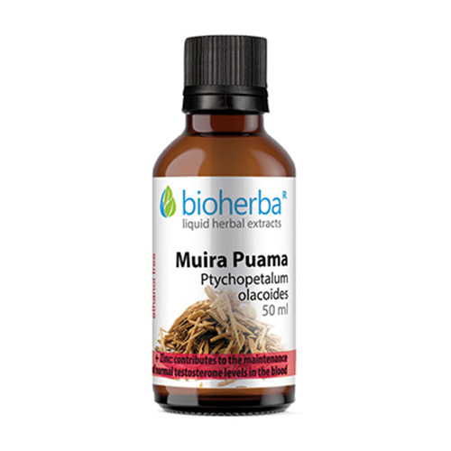 Muira Puama – Tinktur, 50 ml