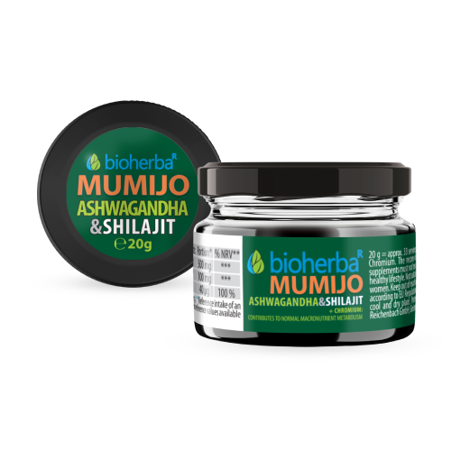 Shilajit (Mumijo) Harz mit Ashwagandha, 20 g