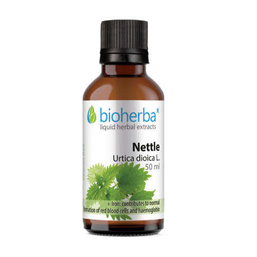 Brennnessel - Tinktur, 50 ml