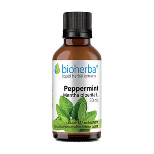 Pfefferminze - Tinktur, 50 ml