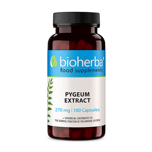 Afrikanischer Pflaumenbaum - Pygeum 270 mg, 100 Kapseln
