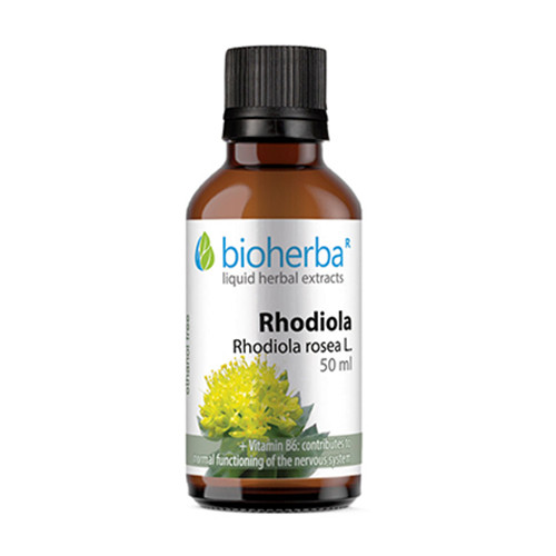 Rosenwurz (Rhodiola) - Tinktur, 50 ml