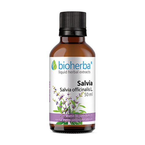 Salbei - Tinktur, 50 ml