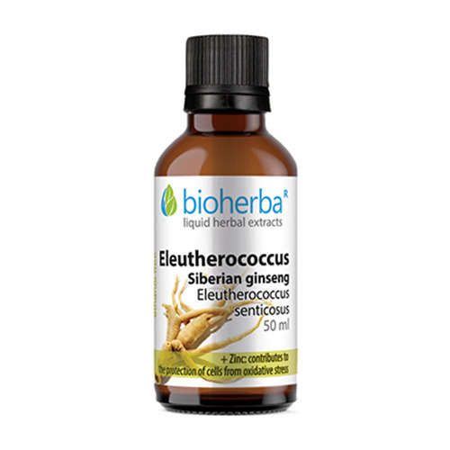 Sibirischer Ginseng - Tinktur, 50 ml