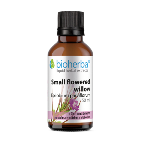 Kleinblütiges Weidenröschen - Tinktur, 50 ml