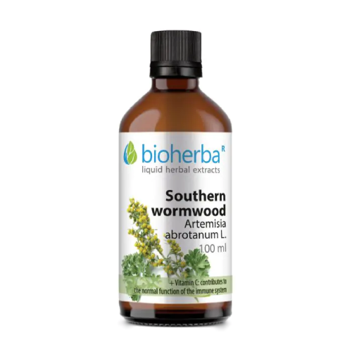 Eberraute - Tinktur, 100 ml