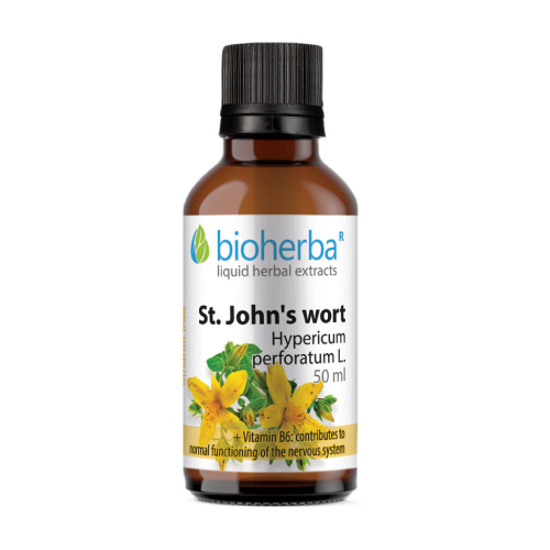 Johanniskraut - Tinktur, 50 ml