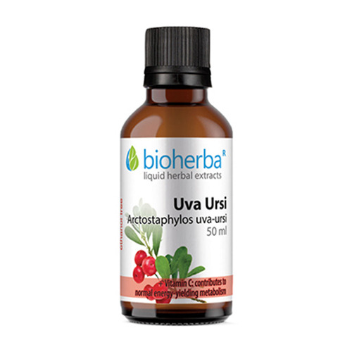 Immergrüne Bärentraube (Uva ursi) - Tinktur, 50 ml