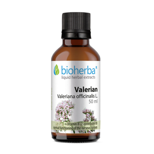 Baldrian - Tinktur, 50 ml