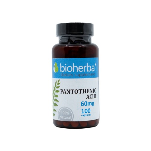Vitamin B5 (Pantothensäure) 60 mg, 100 Kapseln