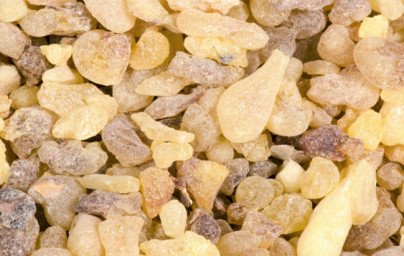Ätherisches Boswelliaöl Ätherisches Boswelliaöl
