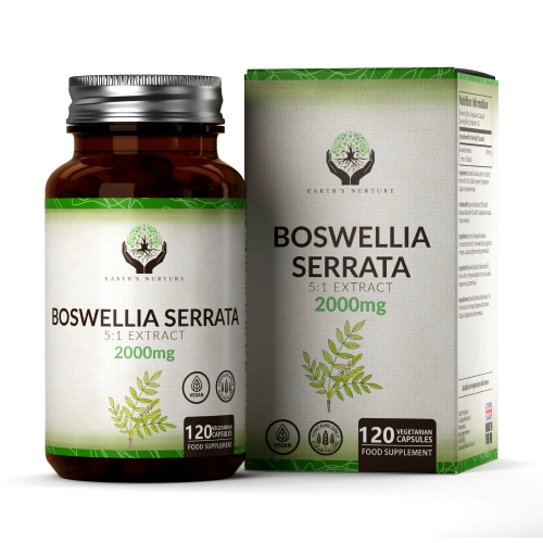 Boswellia 2000 mg, 120 Kapseln