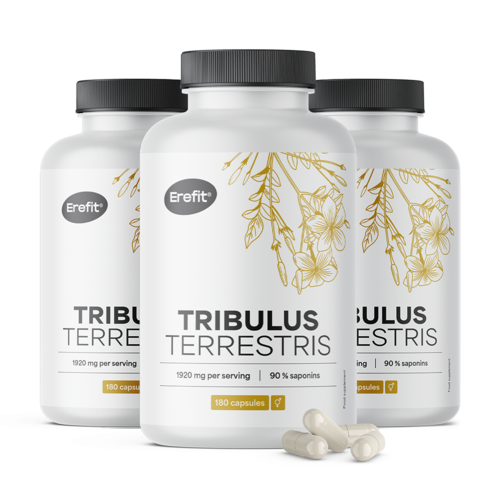 3x Tribulus – Erd-Burzeldorn 1920 mg, zusammen 540 Kapseln
