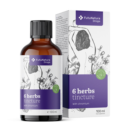 6 Kräuter – Tinktur, 100 ml