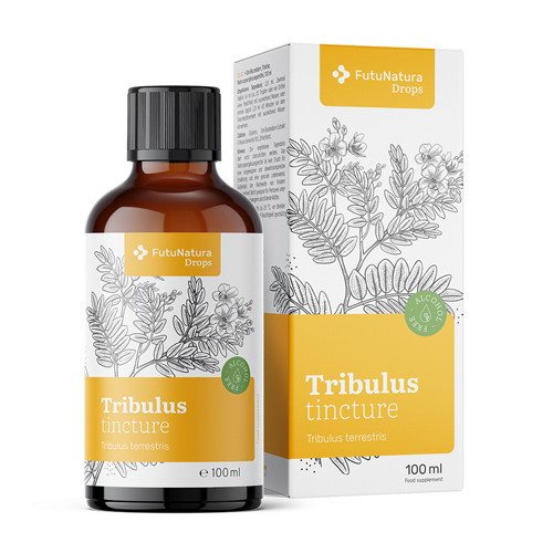 Erd-Burzeldorn – Tinktur, 100 ml