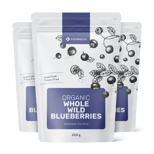 3x BIO Wilde Heidelbeeren – ganz, zusammen 600 g
