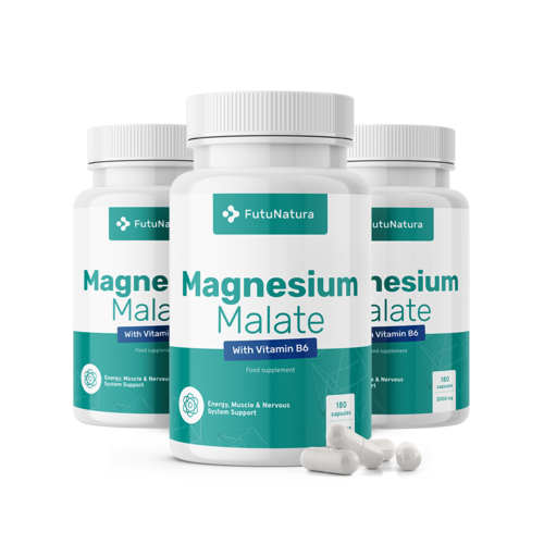 3x Magnesium-Malat 2000 mg, zusammen 540 Kapseln