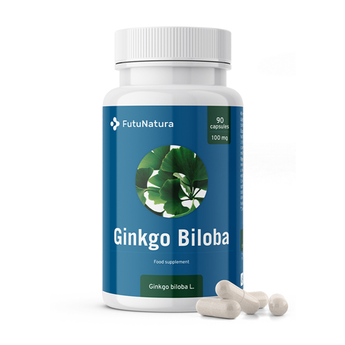 Ginkgo Biloba 100 mg - Gedächtnis und Konzentration, 90 Kapseln