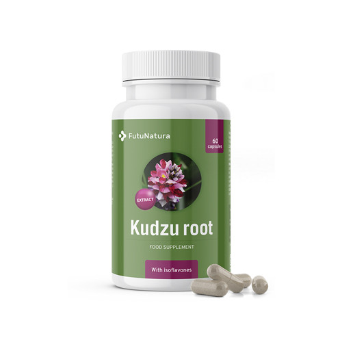 Kudzuwurzel (japanische Maranta) - Alkoholismus und Sucht, 60 Kapseln