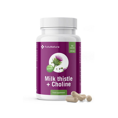 Mariendistel + Cholin