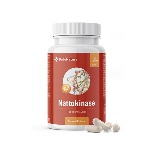 Nattokinase 2000 FU, 90 Kapseln