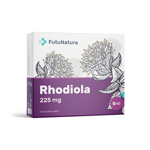 Rosenwurz - Rhodiola rosea